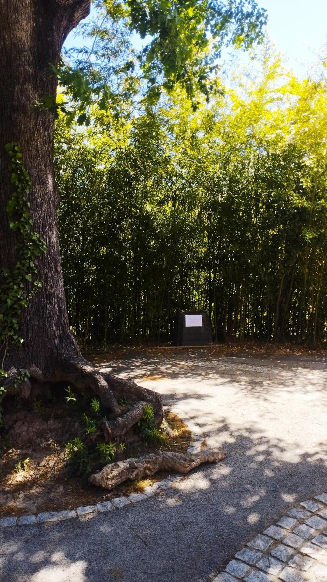 Studio 1 Etoile Paisible,4 Couchages,Jardin Prive レ・ザドレ・ド・レステレル エクステリア 写真